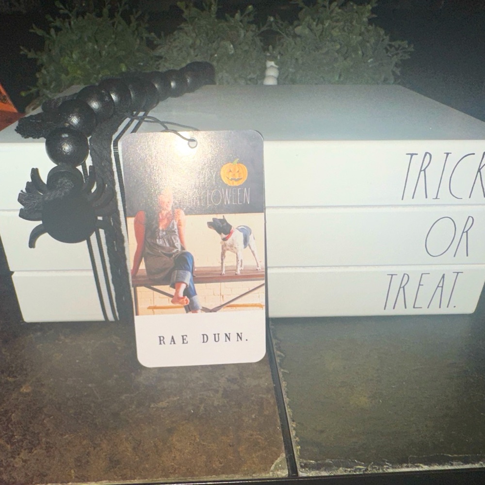 NWT Rae Dunn Trick or Treat Books 👻